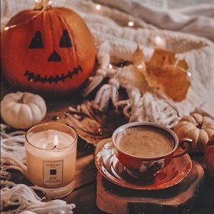 Meet your Posher, Daisy